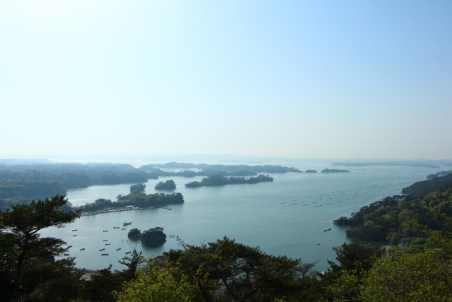 ヒルナンデス 宮城 松島 中島健人