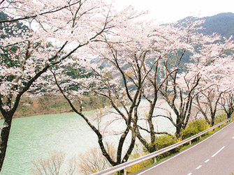 和歌山 有田川町 蔵王橋