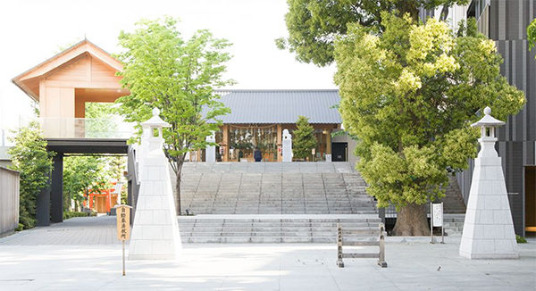 相葉マナブ 神楽坂 神社