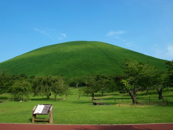 ヒルナンデス 伊豆高原 大室山 マグロ