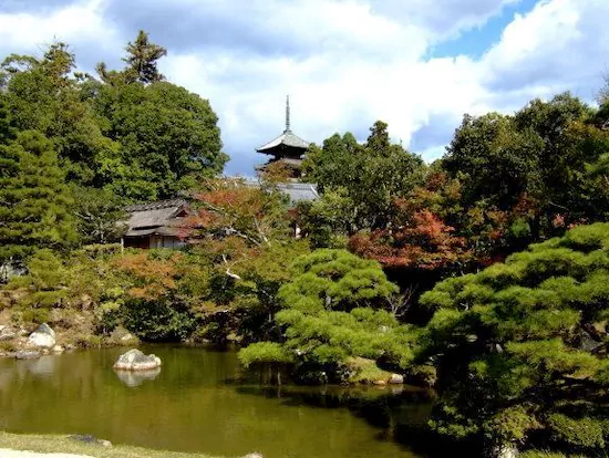 行列のできる法律相談所 芸能人とっておきの宿 11月4日 京都 世界遺産 仁和寺 金堂 宿坊 御室会館 藤井サチ