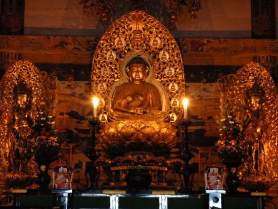 行列のできる法律相談所 芸能人とっておきの宿 11月4日 京都 世界遺産 仁和寺 金堂 宿坊 御室会館 藤井サチ