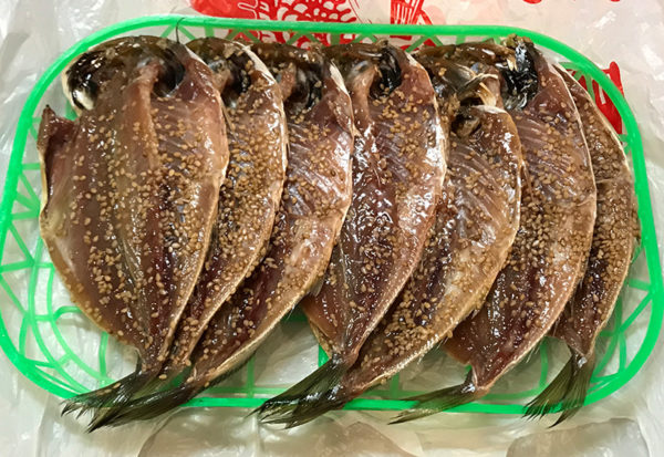 沼津 干物屋 駿洋販売所 アジ 醤油干し 干物