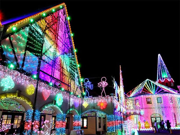 ヒルナンデス バスツアー 千葉房総 漁師飯 関口メンディー 東京ドイツ村 崖観音