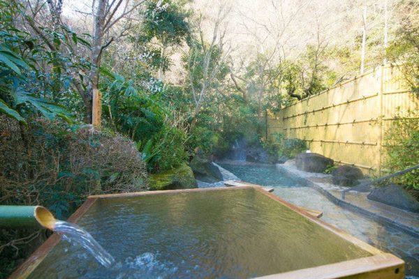 あつぎ飯山温泉 元湯旅館 露天風呂