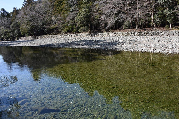 ヒルナンデス いとうあさこ 大久保 女子旅 伊勢神宮 伊勢うどん 手こね寿司