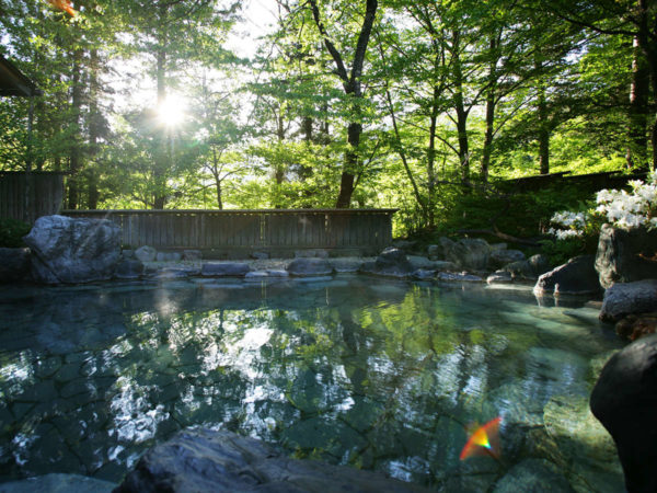 四万温泉 積善館 杜の湯