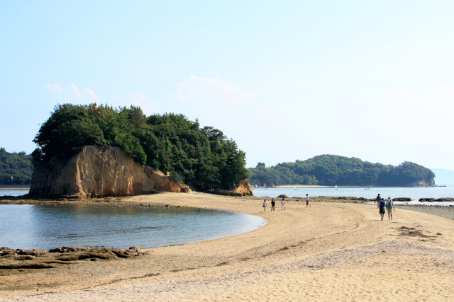 朝だ!生です旅サラダ ゲストの旅 3月9日 香川 小豆島 二十四の瞳 渡辺徹 オリーブ