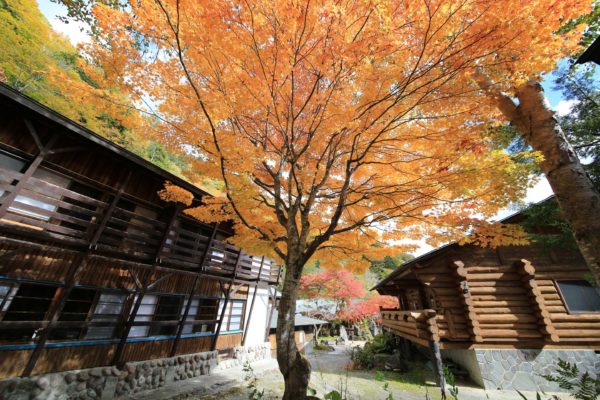 日光 奥鬼怒温泉 八丁の湯