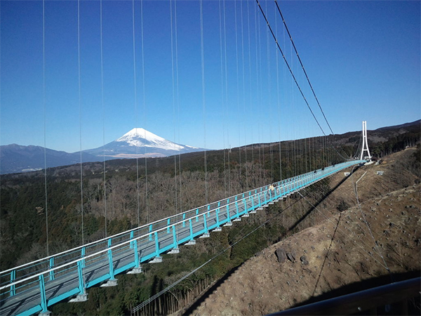 ヒルナンデス 静岡 三島 吊橋 三島スカイウォーク ジップライン アトラクション