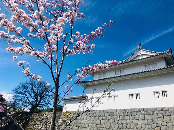 朝だ!生です旅サラダ ゲストの旅 4月13日 木南晴夏 静岡 三島 駿府城公園