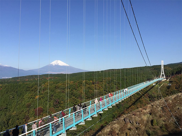 朝だ!生です旅サラダ ゲストの旅 4月13日 木南晴夏 静岡 三島スカイウォーク ジッブスライド