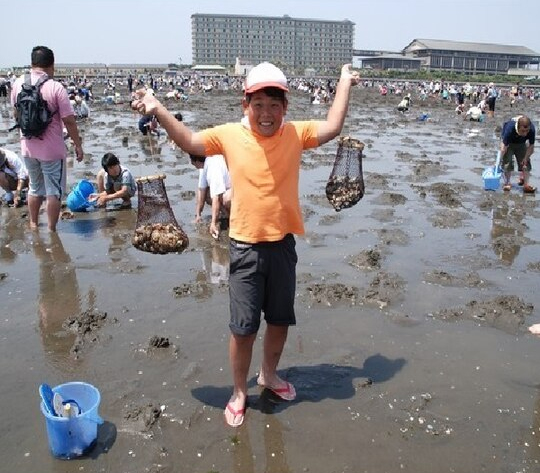 ホテル三日月 ヒルナンデス 千葉 絶景 食べ放題 温泉 プール