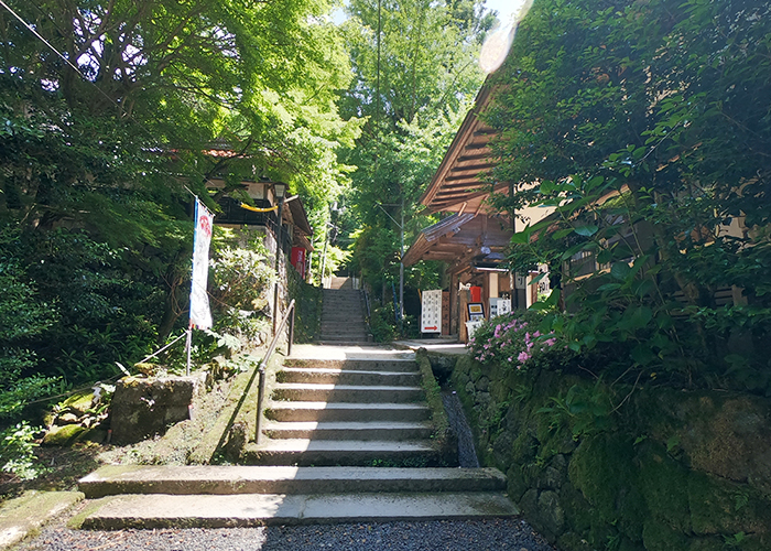 三徳山 三佛寺 投入堂 本堂 参道