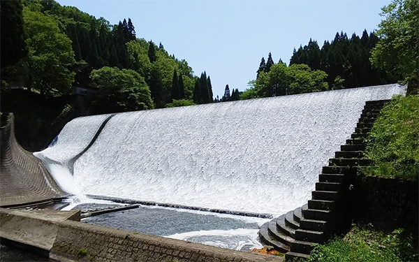 朝だ!生です旅サラダ ゲストの旅 6月15日 岡江久美子 大分 中津 竹田 耶馬渓 頭料理 スッポン