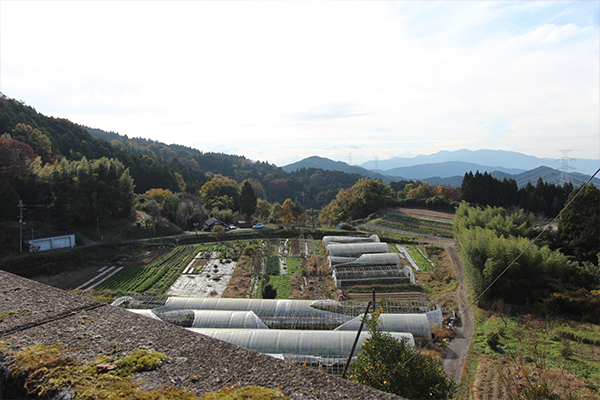 あいLOVE週末田舎暮らし よ～いドン 酒井藍 格安物件 別荘 古民家 奈良県 桜井市