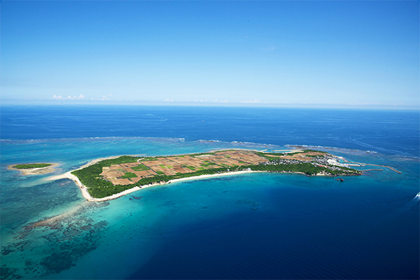 所さんお届けモノです 沖縄 隠れ家 離島 グルメ 津堅島