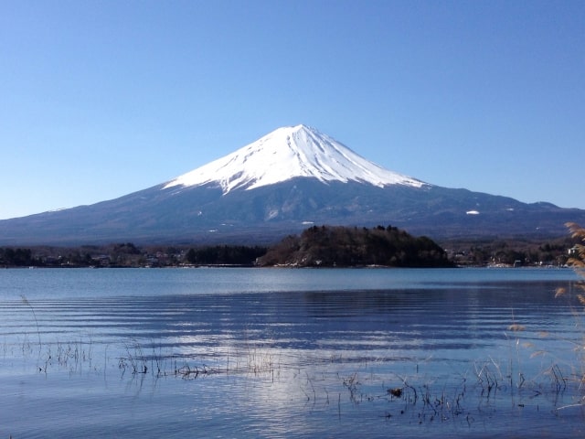 よ～いドン！ たむらけんじ 商店街 いきなり日帰りツアー 静岡 沼津 富士山