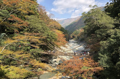 おはよう朝日 バスツアー 休暇村讃岐五色台千年ものがたり