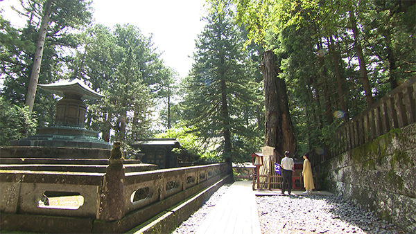 旅サラダ ゲストの旅 森尾由美 栃木 日光東照宮 世界遺産