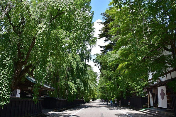 よ～いドン！ たむらけんじ 商店街 いきなり日帰りツアー 秋田 角館 武家屋敷