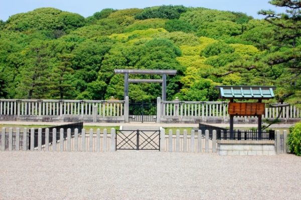 よ～いドン！ たむらけんじ 商店街 いきなり日帰りツアー 堺 世界遺産 仁徳天皇陵