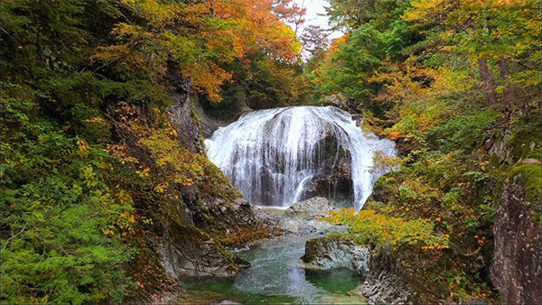 朝だ!生です旅サラダ ゲストの旅 田中圭 山形 関山大滝