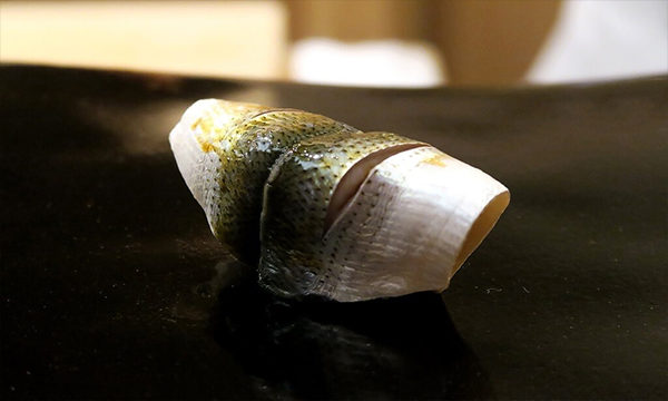 情熱大陸 日本橋蛎殻町すぎた 予約が取れないミシュラン1つ星 寿司