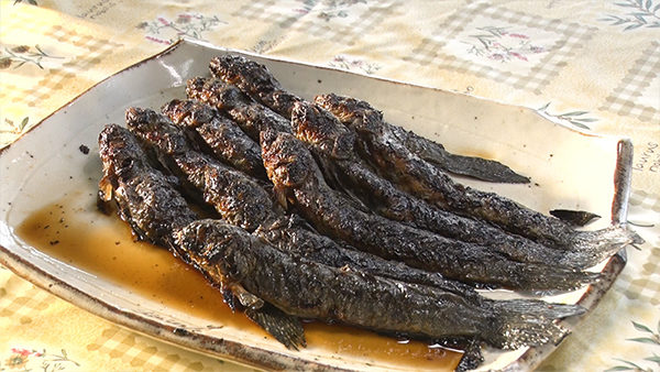 朝だ!生です旅サラダ コレうまの旅 プレゼント 佐賀 鹿島 ムツゴロウ