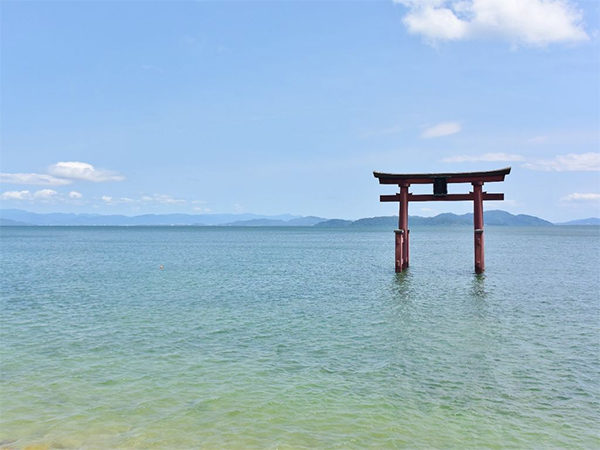 よ～いドン！ たむらけんじ 商店街 いきなり日帰りツアー 滋賀 高島 マキノ メタセコイヤ並木 白髭神社