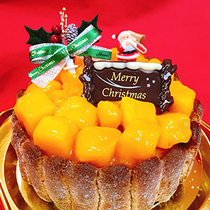 マツコの知らない世界 クリスマスケーキの世界 マンゴー