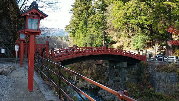 ヒルナンデス 日光 栃木 日光東照宮 友近 藤井隆 神橋