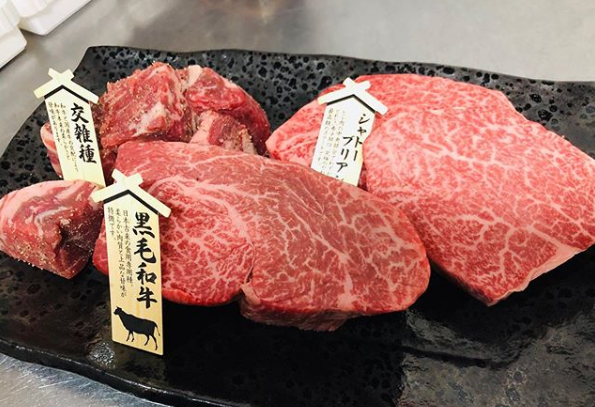 おでかけコンシェルジュ かんさい情報ネットten 奈良 橿原