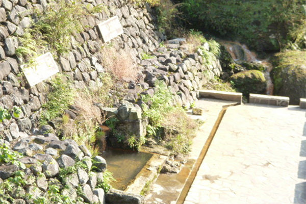 よ～いドン！ たむらけんじ 商店街 いきなり日帰りツアー 鹿児島 霧島 塩浸温泉