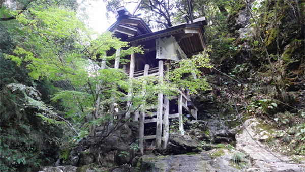 よ～いドン！ たむらけんじ 商店街 いきなり日帰りツアー 京都 福知山 天岩戸神社