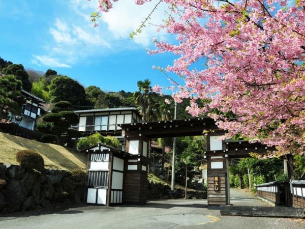 伊東温泉 割烹旅館 横浜「藤よし」伊豆店