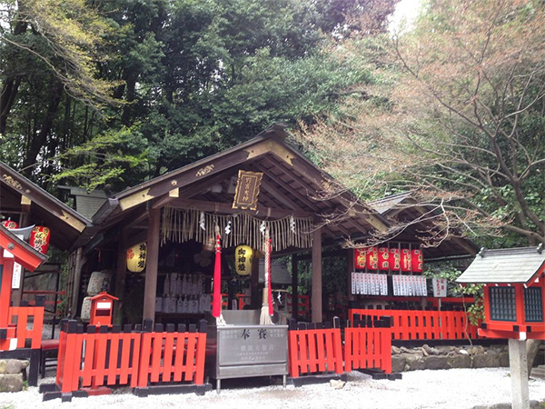 ヒルナンデス 京都 旅行 観光 女子旅 絶景 嵐山 野宮神社