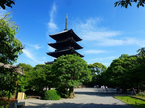 朝だ!生です旅サラダ ゲストの旅 京都 武井壮 東寺