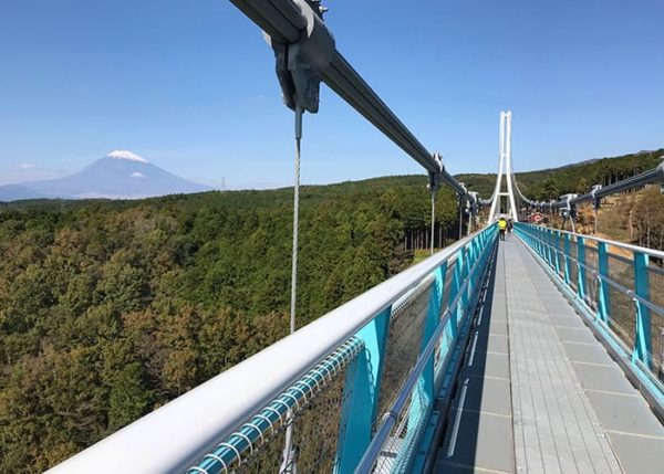 帰れマンデー見っけ隊 秘境路線バス旅 バスサンド 箱根 三島スカイウォーク