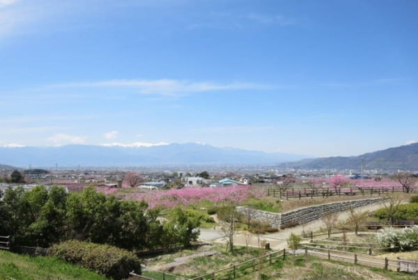 山梨 笛吹市 みさか桃源郷公園