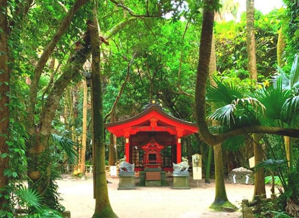 ヒルナンデス 福くん 楽くん 兄弟旅 宮崎 青島神社 鬼の洗濯板