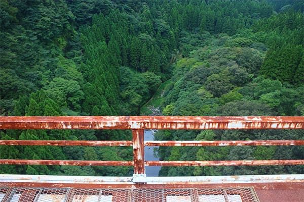 ヒルナンデス 福くんの旅 旅行 宮崎 楽くん 天岩戸神社