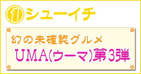 シューイチ 幻の未確認グルメ UMA ウーマ 第3弾