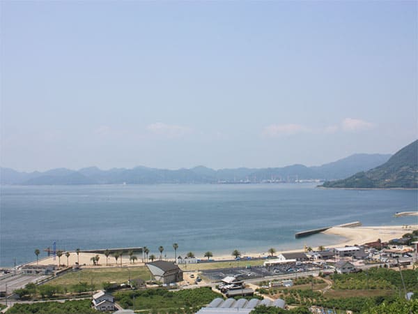 よ～いドン！ たむらけんじ いきなり日帰りツアー 広島 しまなみ海道