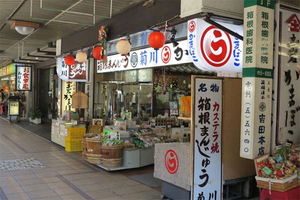 土曜はナニする 日帰りぷらっとりっぷ 神奈川 箱根