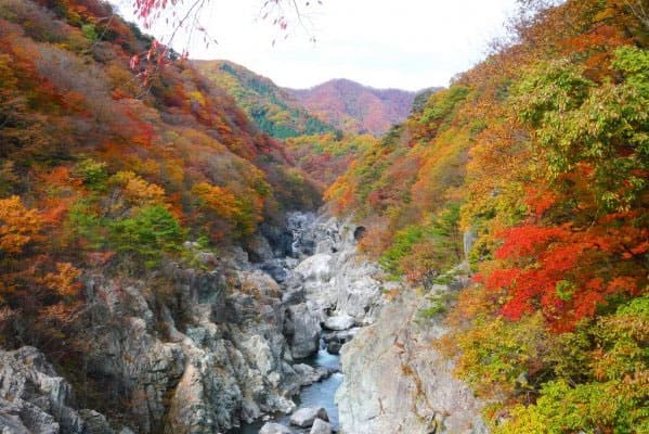 ヒルナンデス オトナ女子旅 いとうあさこ 大久保佳代子 温泉 栃木 鬼怒川温泉 川治温泉 龍王峡