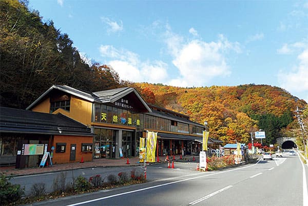 ヒルナンデス オトナ女子旅 いとうあさこ 大久保佳代子 温泉 栃木 鬼怒川温泉 川治温泉 道の駅 湯西川