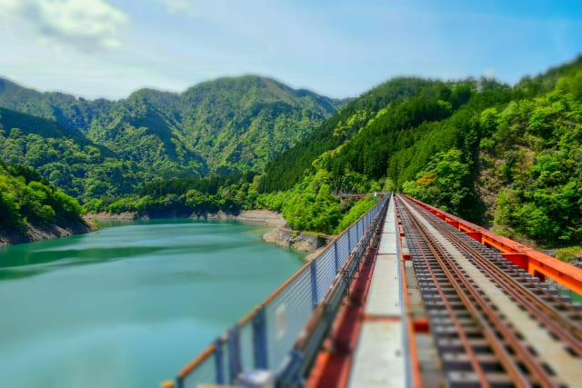 よ～いドン！ たむらけんじ いきなり日帰りツアー 静岡 奥大井 大井川鉄道