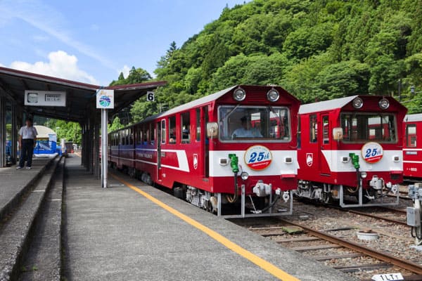 よ～いドン！ たむらけんじ いきなり日帰りツアー 静岡 奥大井 大井川鉄道