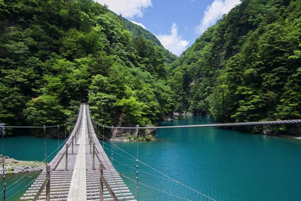 よ～いドン！ たむらけんじ いきなり日帰りツアー 静岡 奥大井 大井川鉄道 夢の吊り橋